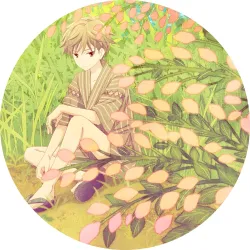 Значок Кошик фруктів - 92