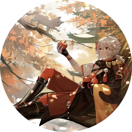 Значок Genshin Impact - 009